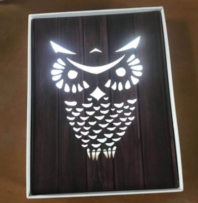 Owl Shape Led Light-ZM-LTG331
